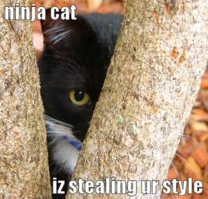 lolcat-ninja-cat